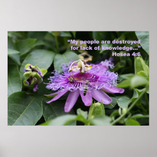 Hosea 4:6 Scripting Poster