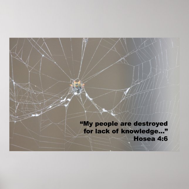 Hosea 4:6 Scripting Poster, Version D Poster (Vorne)