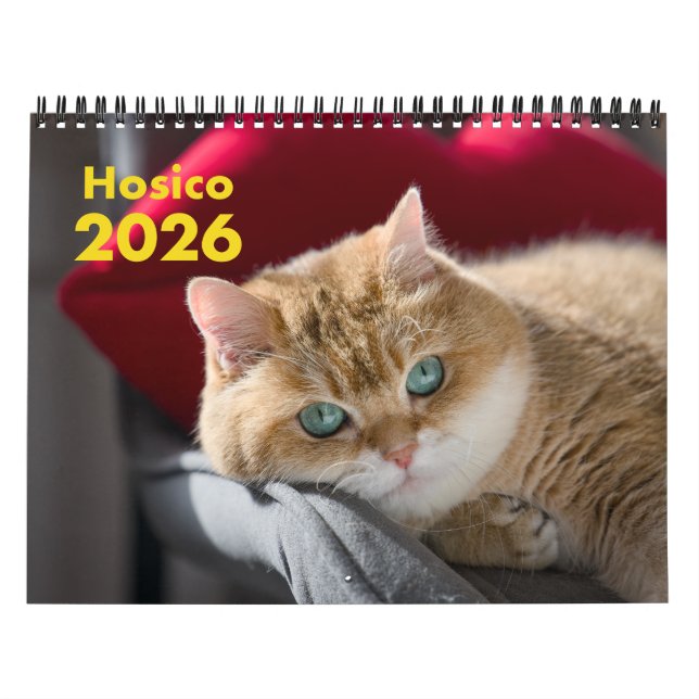 Hosico Calendar 2026 Kalender (Titelbild)