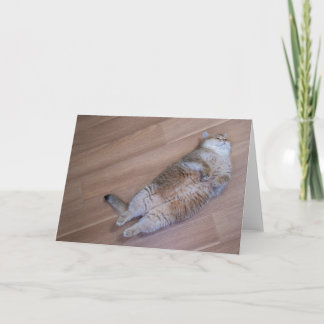 Hosico Fliegen Karte