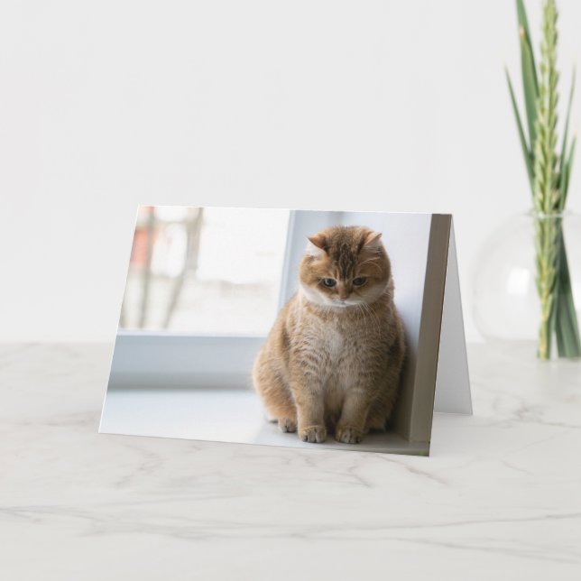 Hosico Karte (Vorderseite)