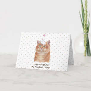 Hosico Katze mit Partyhut Karte