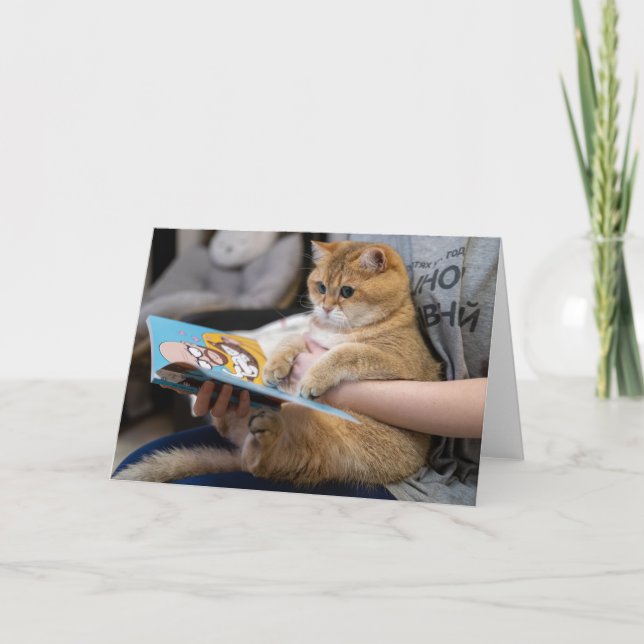 Hosico liest ein Buch Karte (Vorderseite)
