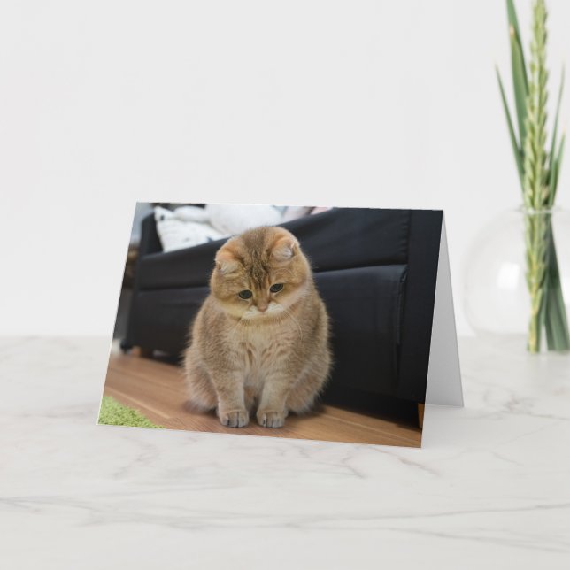 Hosico niedliches Baby Karte (Vorderseite)