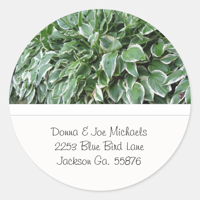 Hosta Address Stickers (Vorderseite)