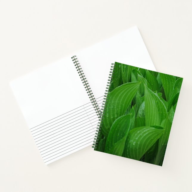 Hosta Blätter mit Raindrops Garden Notebook Notizbuch (Innenseite)