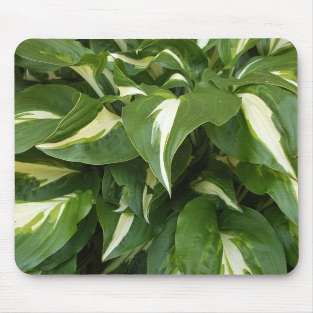 Hosta-Blätter Mousepad (Vorne)