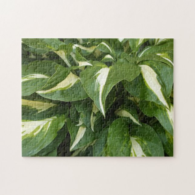 Hosta-Blätter Puzzle (Horizontal)
