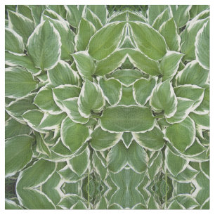 Hosta Blätter Spiegelbild Bildgewebe Stoff