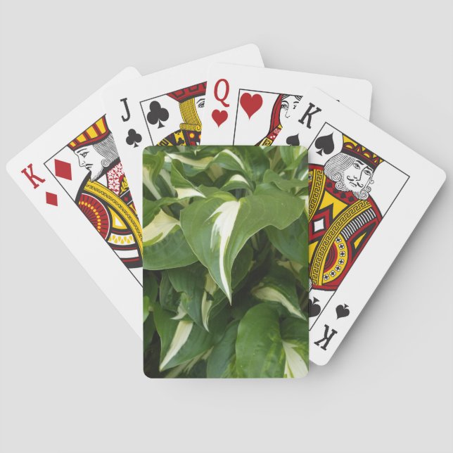 Hosta-Blätter Spielkarten (Rückseite)