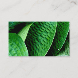 Hosta-Blätter Visitenkarte
