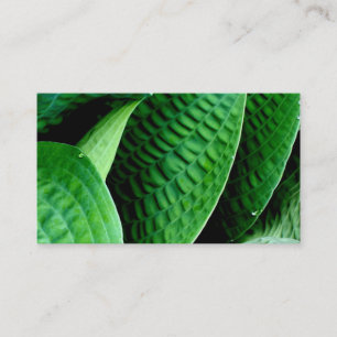 Hosta-Blätter Visitenkarte