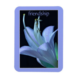 Hosta Blume Verziert Lavender Friendship Magnet