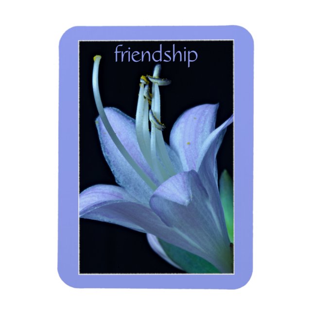 Hosta Blume Verziert Lavender Friendship Magnet (Vertikal)