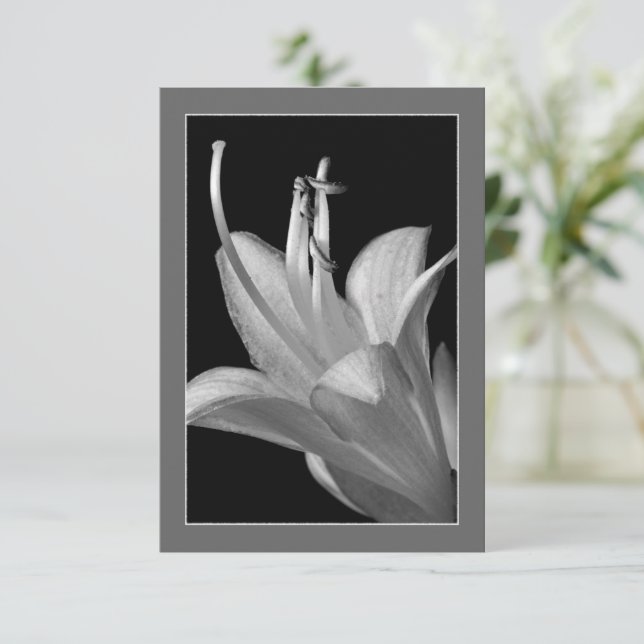 Hosta Blume Verzierte Schwarz-Weiß-Karte (Stehend Vorderseite)