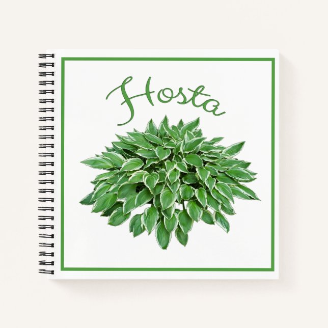 Hosta Design Square Spiral Notebook Notizbuch (Vorderseite)