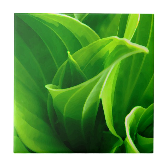 Hosta-Fliese Fliese (Vorderseite)