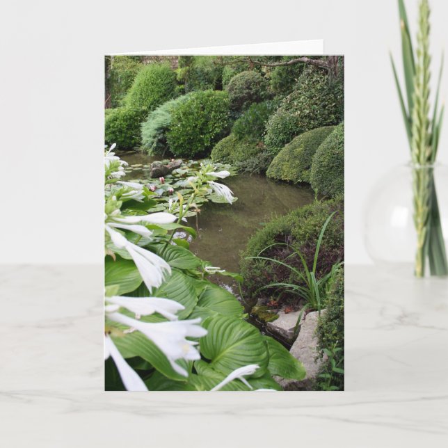 Hosta in a Zen Garden 1 Grußkarte Karte (Vorderseite)