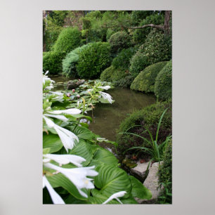 Hosta in a Zen Garden Poster