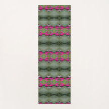 Hosta La Vista zu 15