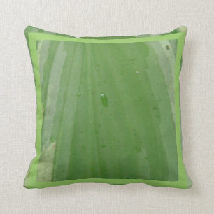 hosta leaf, fast solide grüne kissen