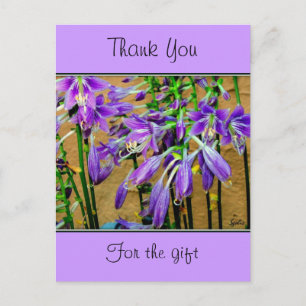 Hosta Lila-Blüten-Postkarte Postkarte