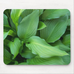 Hosta Mousepad