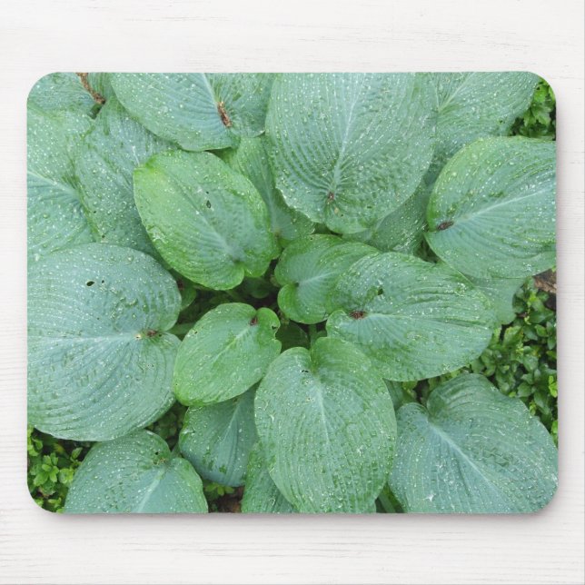 Hosta Mousepad (Vorne)