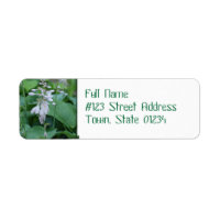 Hosta Pflanze Rücksendeadresse Mailing Labels