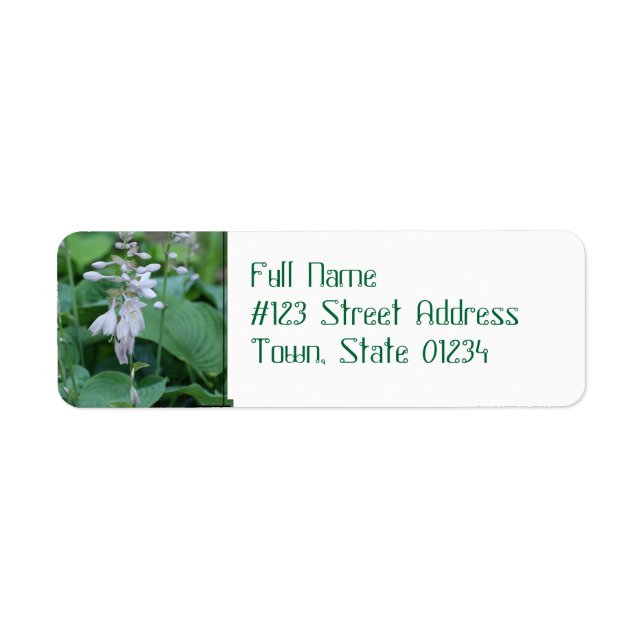 Hosta Pflanze Rücksendeadresse Mailing Labels (Vorne)