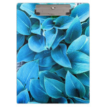 Hosta-Pflanzen-Clipboard