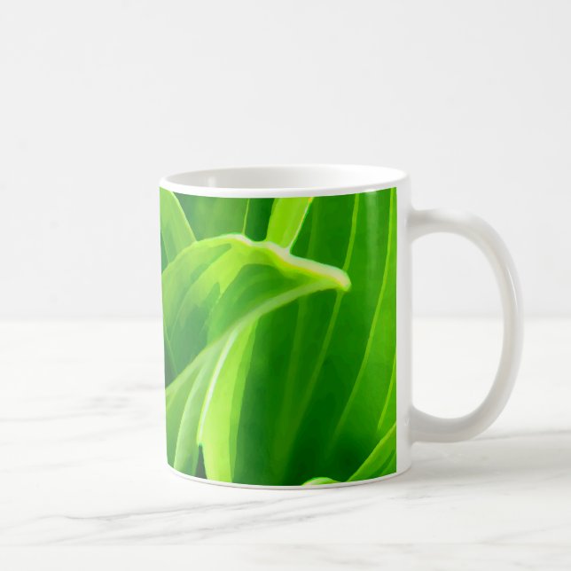Hosta Tasse (Rechts)