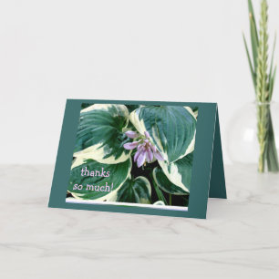 Hosta Thank you card Dankeskarte