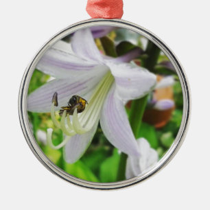 Hosta und ein Insekt Silbernes Ornament