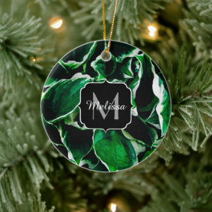 Hosta undulata vibrierende grüne Pflanze verlässt Keramik Ornament