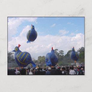 Hot-Balloon-Festival Postkarte