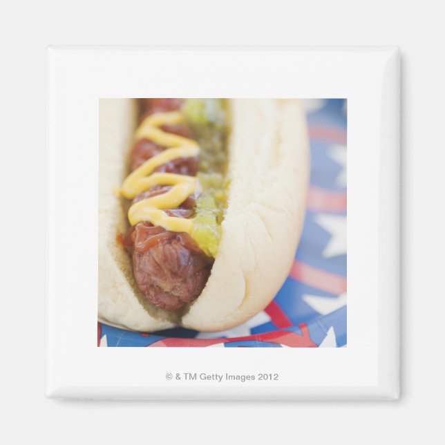Hot Dog auf Red, White und Blue Plate Magnet (Vorne)