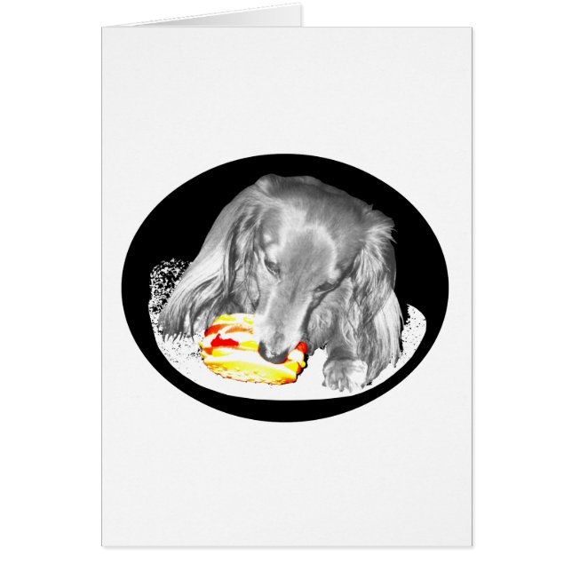 Hot Dog greift Cheeseburger an, Nachrichten um elf (Vorne)