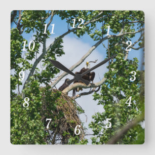 Hot Eagles Wall Clock Quadratische Wanduhr