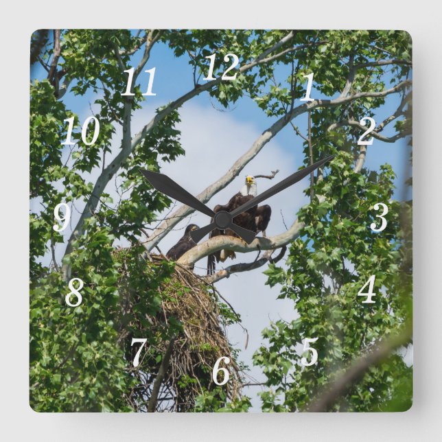 Hot Eagles Wall Clock Quadratische Wanduhr (Vorderseite)