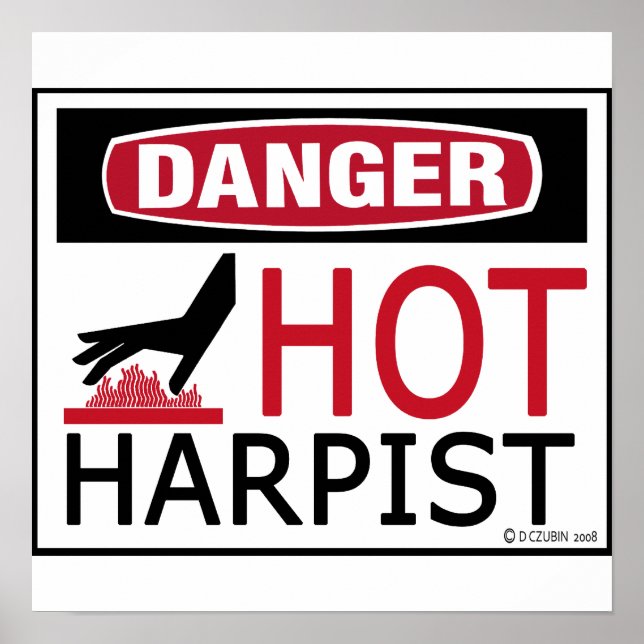 Hot Harpist Poster (Vorne)