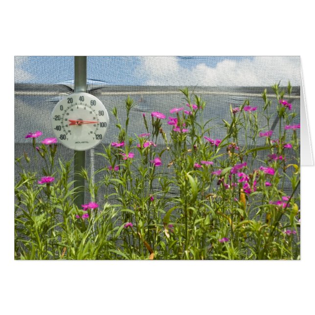 Hot House Kinderzimmer Card (Vorderseite (Horizontal))