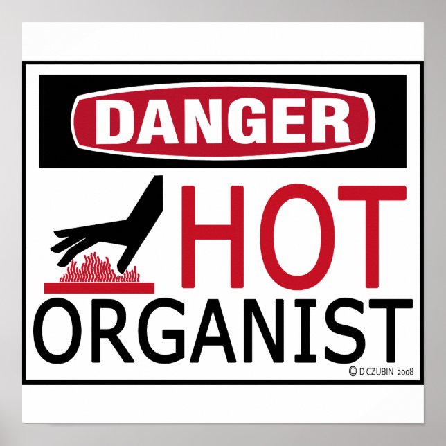Hot Organist Poster (Vorne)