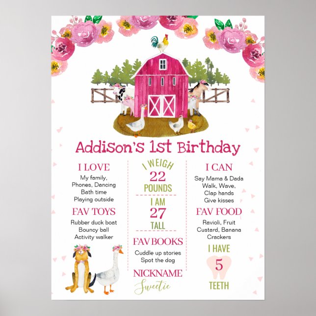 Hot Pink Barn Farm Geburtstag Meilenstein Poster (Vorne)