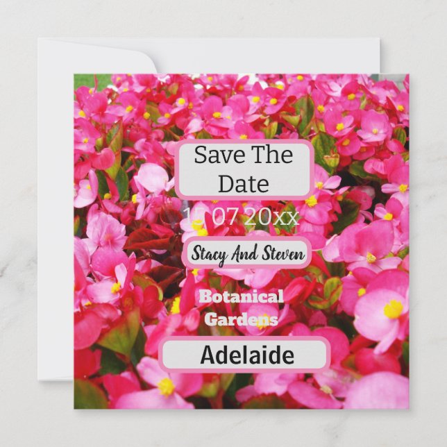 Hot Pink Begonia Blume Save the Date, Date (Vorderseite)