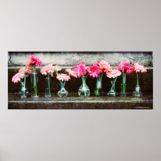 Hot Pink Daisies in Vasen Poster