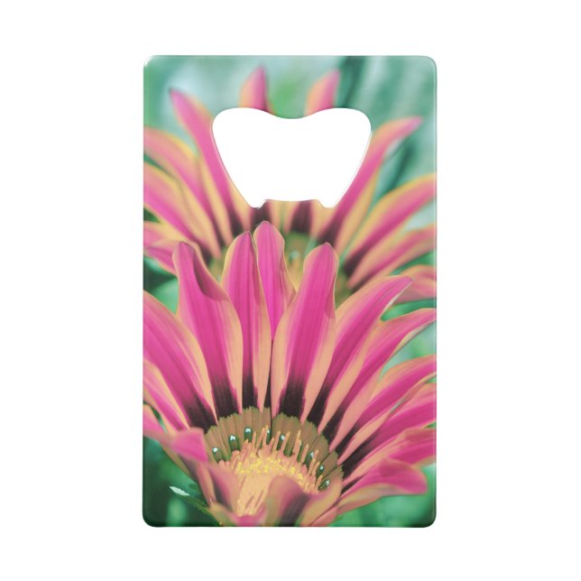 Hot Pink Daisy Geldkarten Flaschenöffner (Vorderseite)