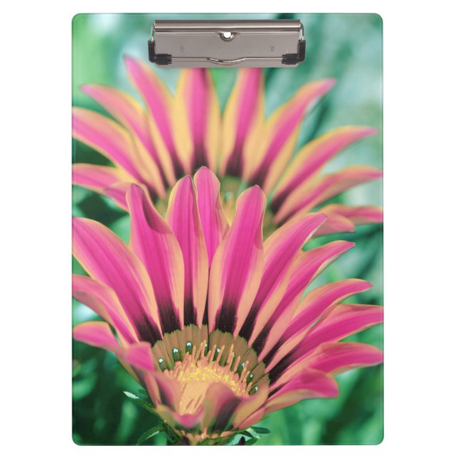 Hot Pink Daisy Klemmbrett (Vorderseite)