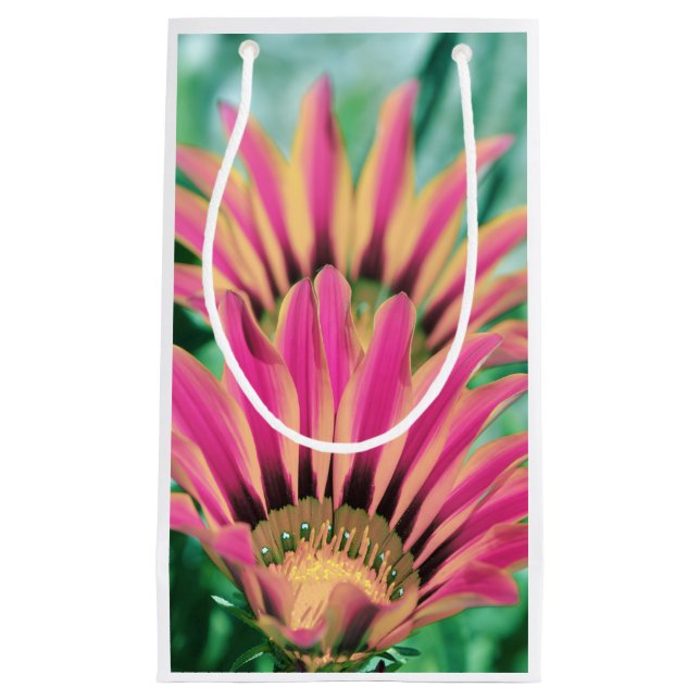 Hot Pink Daisy Petals Kleine Geschenktüte (Vorderseite)