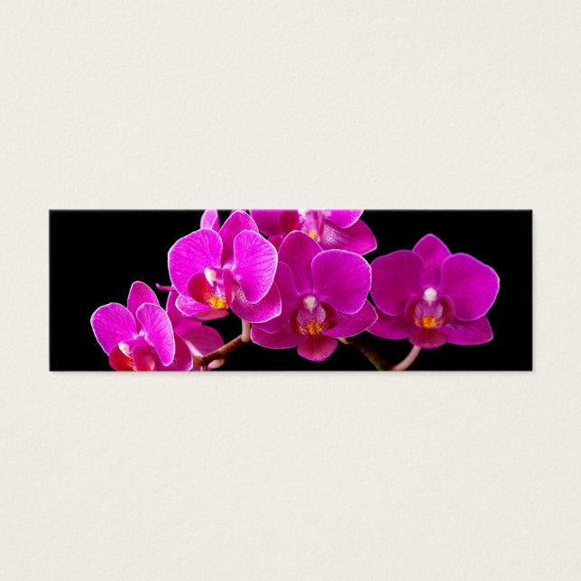 Hot Pink Dendrobium Orchid-Blume Orchideen Vorlage (Vorderseite)